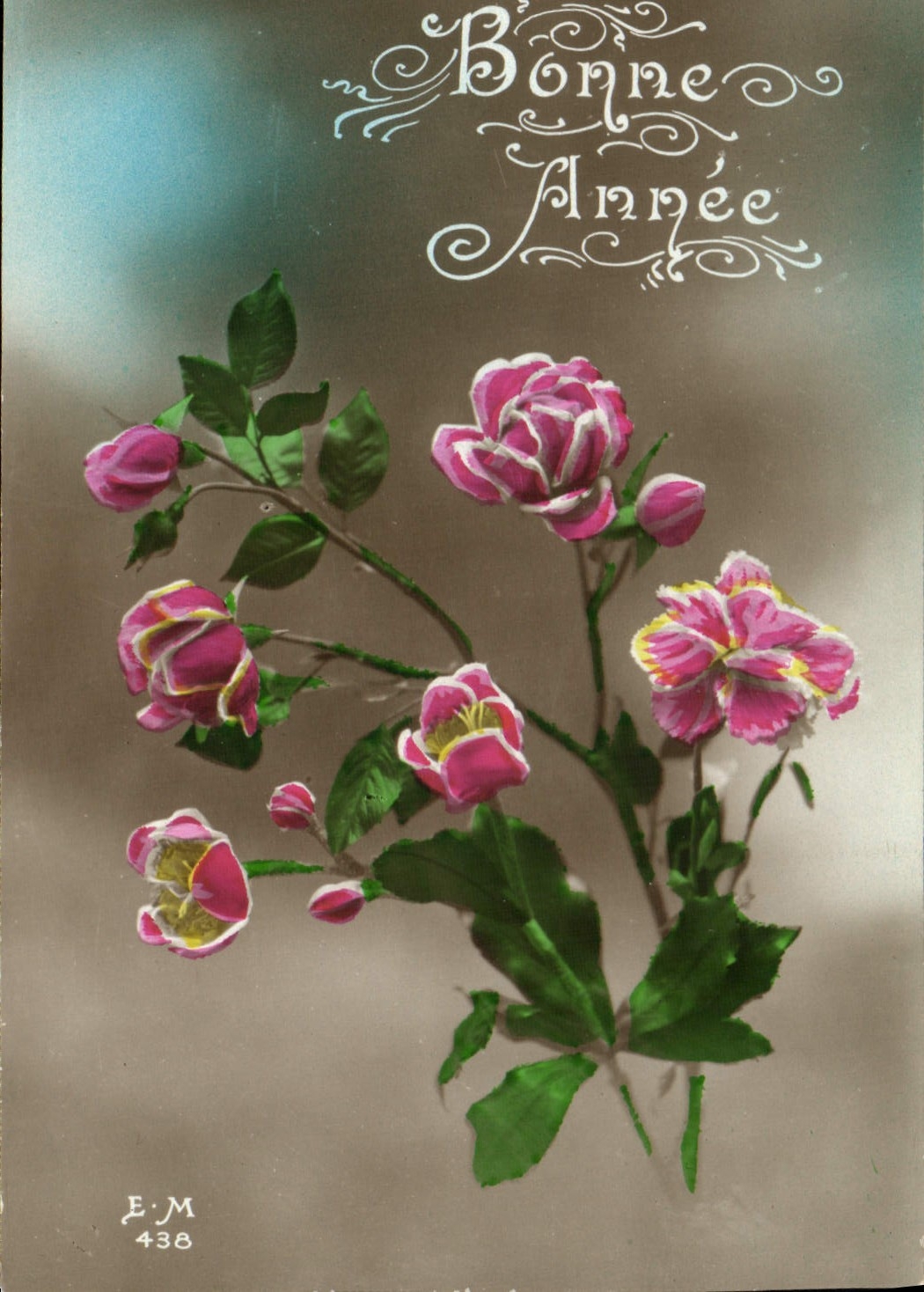 Flores de la fantasía de la POSTAL de la VENDIMIA