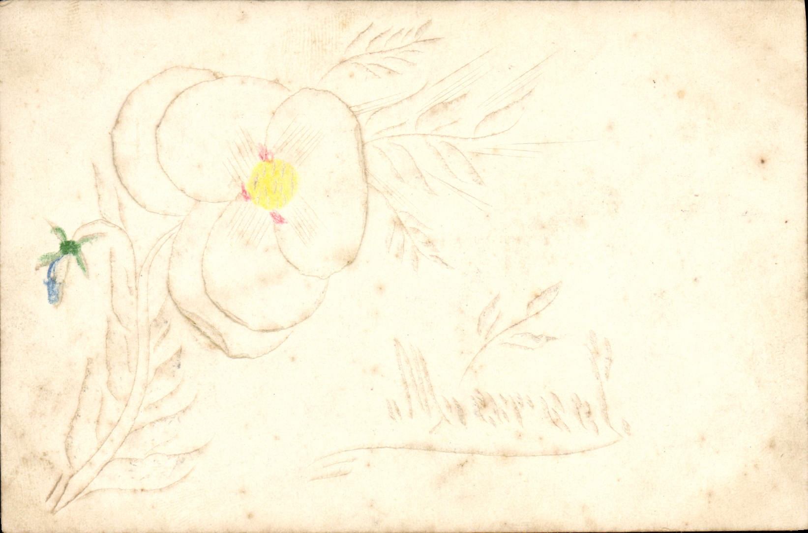 Flores de la fantasía de la POSTAL de la VENDIMIA