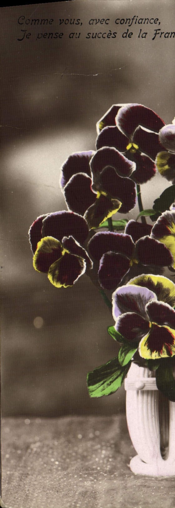 Flores de la fantasía de la POSTAL de la VENDIMIA