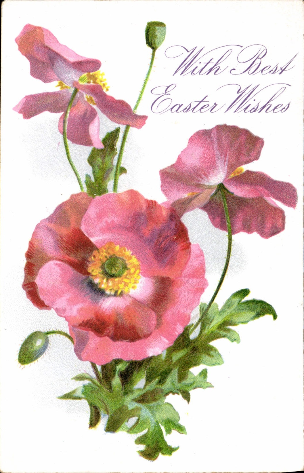 Flores de la fantasía de la POSTAL de la VENDIMIA