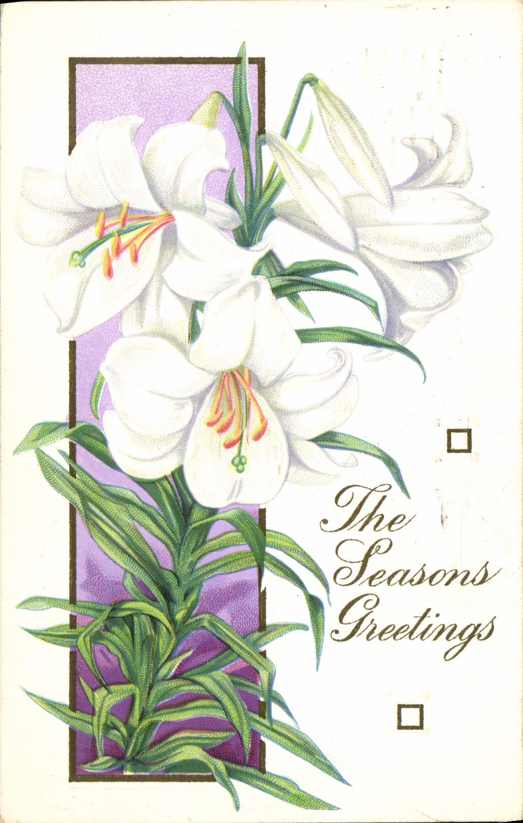 Flores de la fantasía de la POSTAL de la VENDIMIA