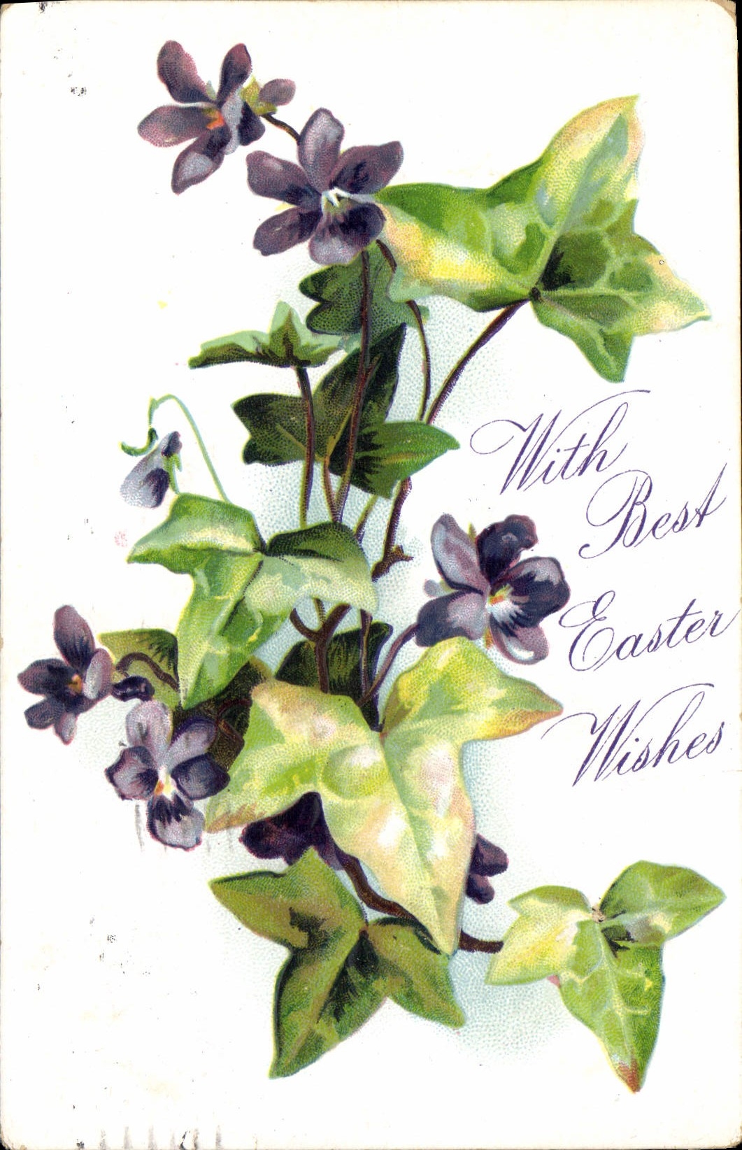 Flores de la fantasía de la POSTAL de la VENDIMIA