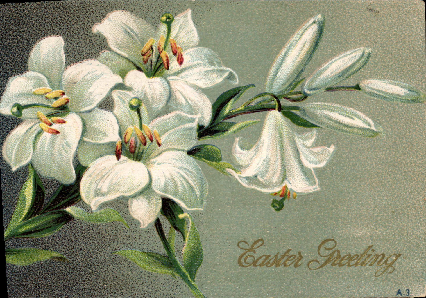 Flores de la fantasía de la POSTAL de la VENDIMIA