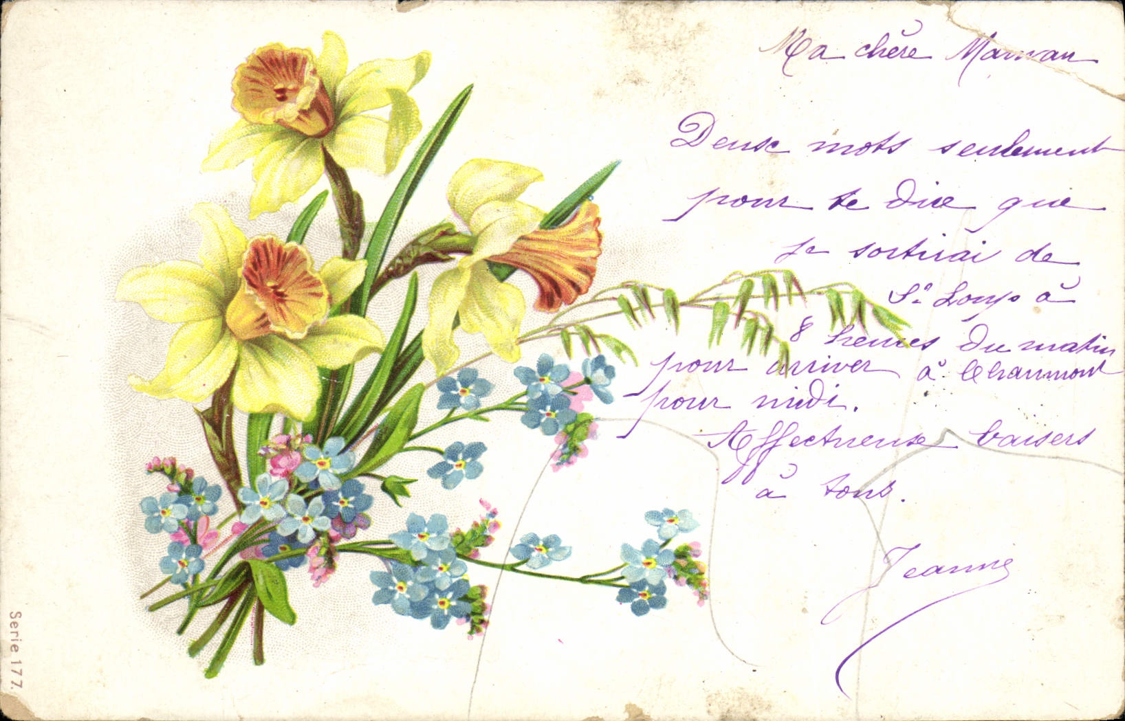 Flores de la fantasía de la POSTAL de la VENDIMIA