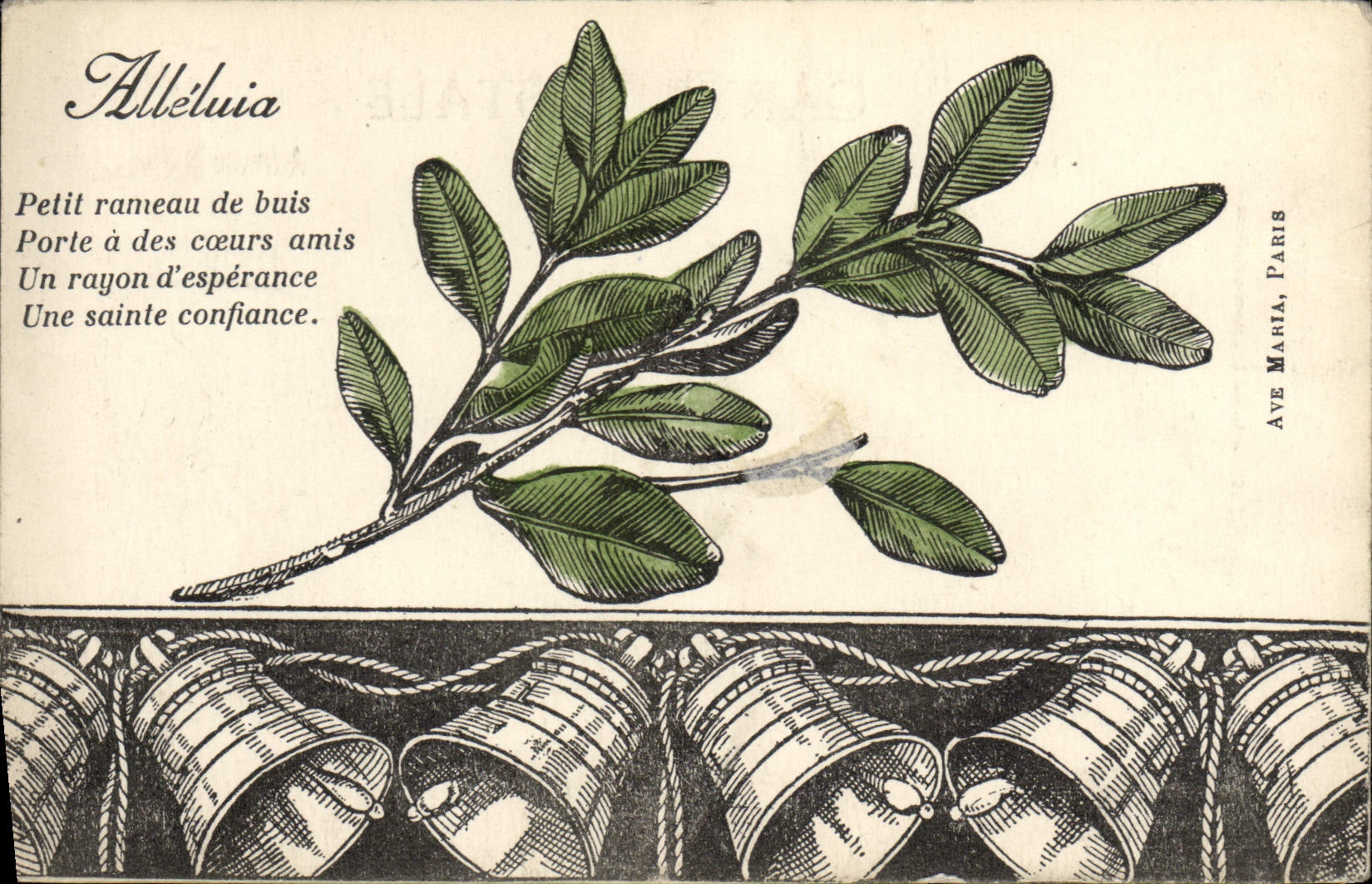 VINTAGE POSTCARD Fantasy Flowers Bells