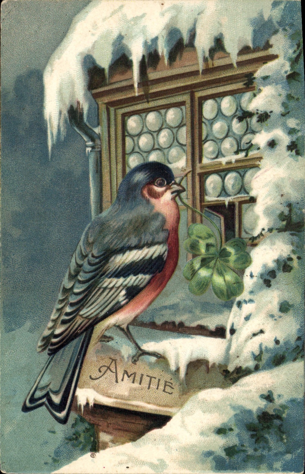 VINTAGE POSTCARD Fantasy Bird Clover