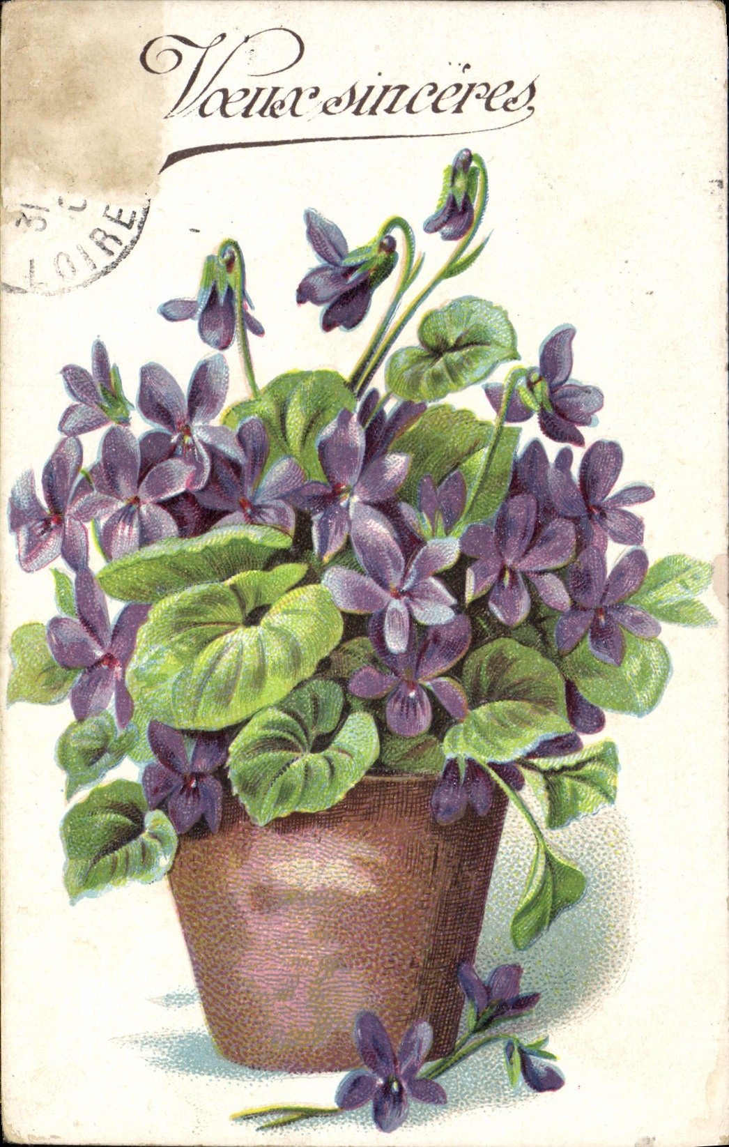 VINTAGE POSTCARD Fantasy Flowers