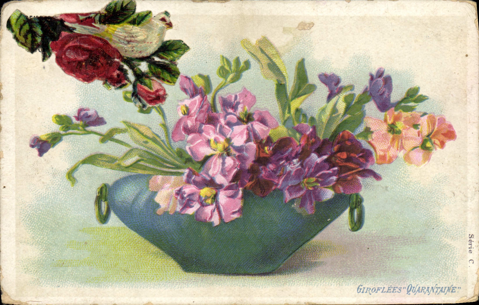 CPA Fantaisie Fleurs Giroflees