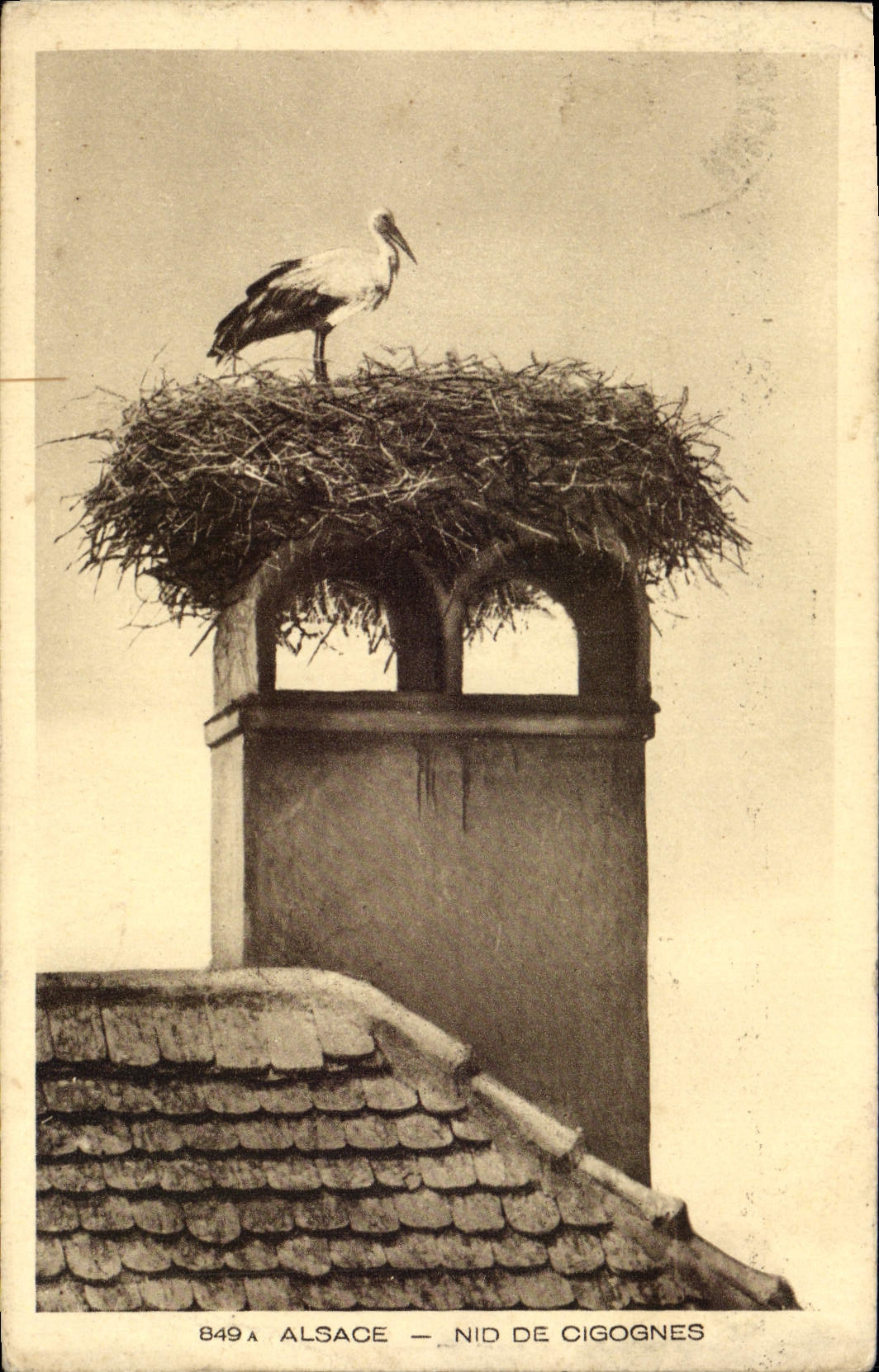 VINTAGE POSTCARD Alsace Nest Of Storks