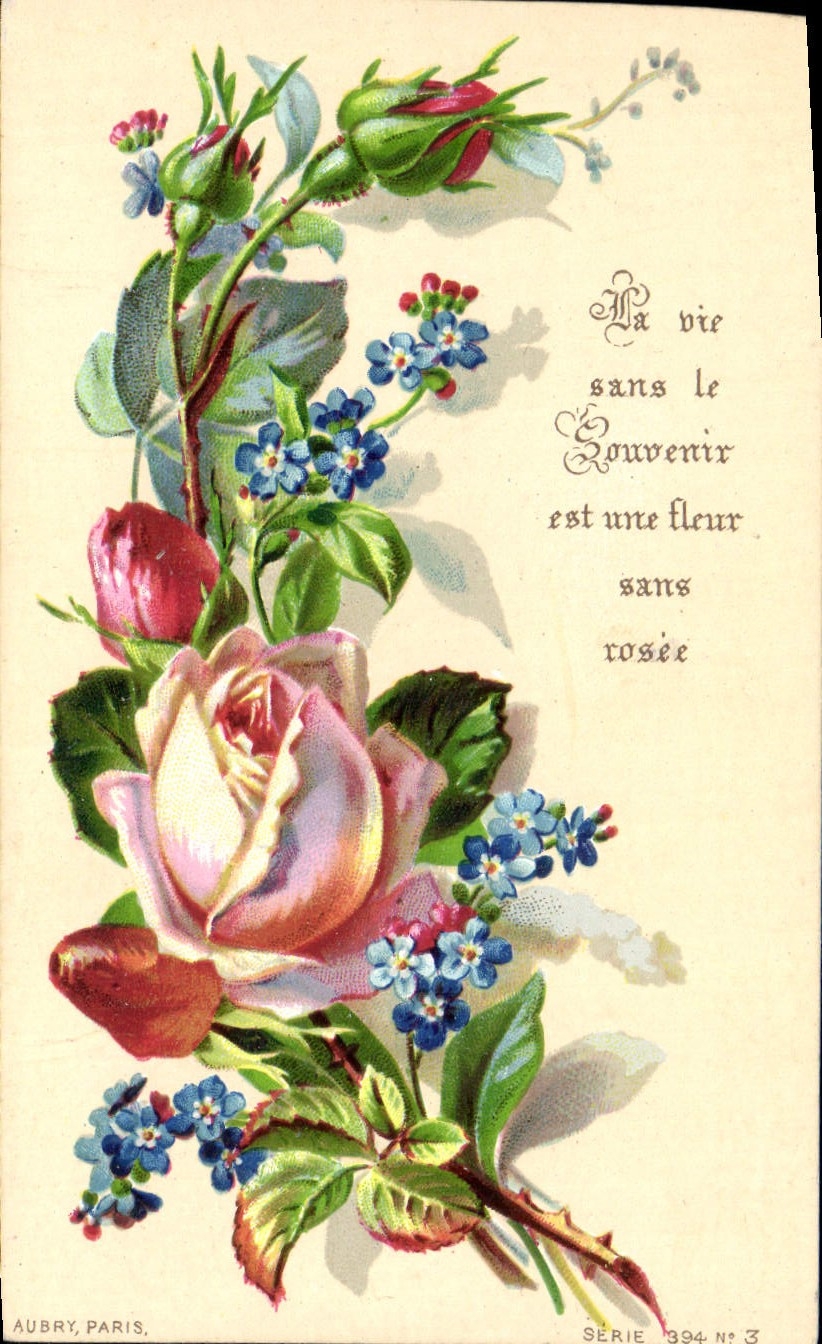 CPA Souvenir Une Fleur