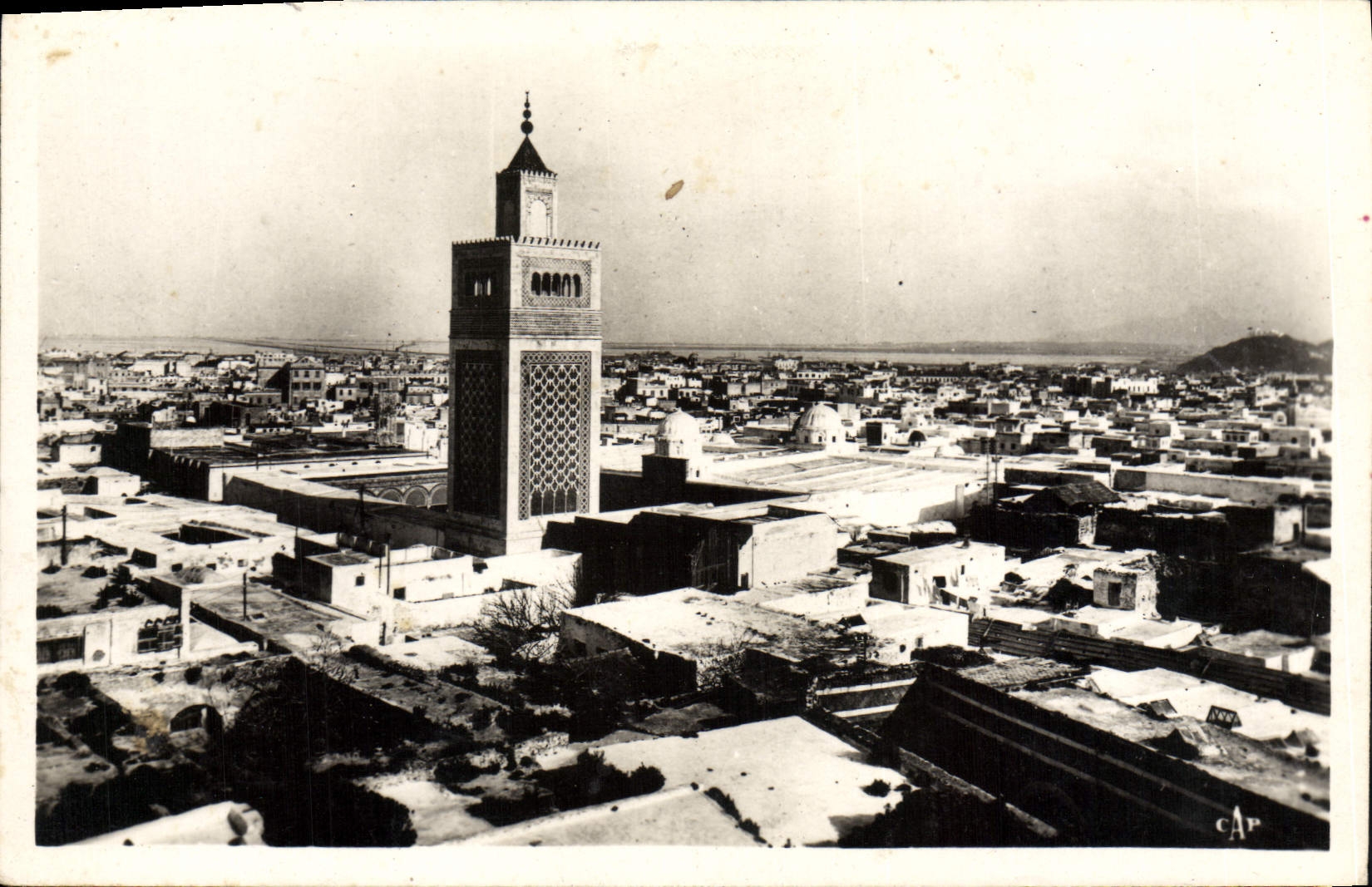 VINTAGE POSTCARD Tunis View