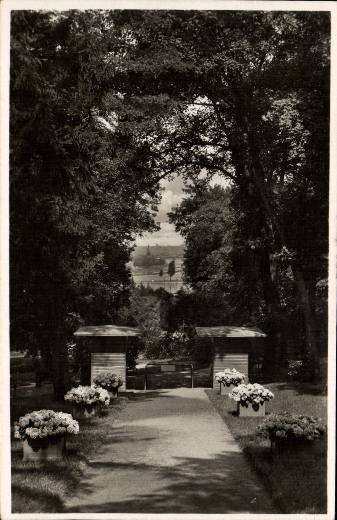 CPM Mainz Rosenschau Mainblick