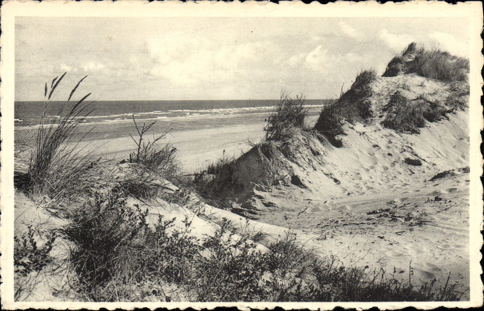 POSTAL MODERNA Ostende la duna