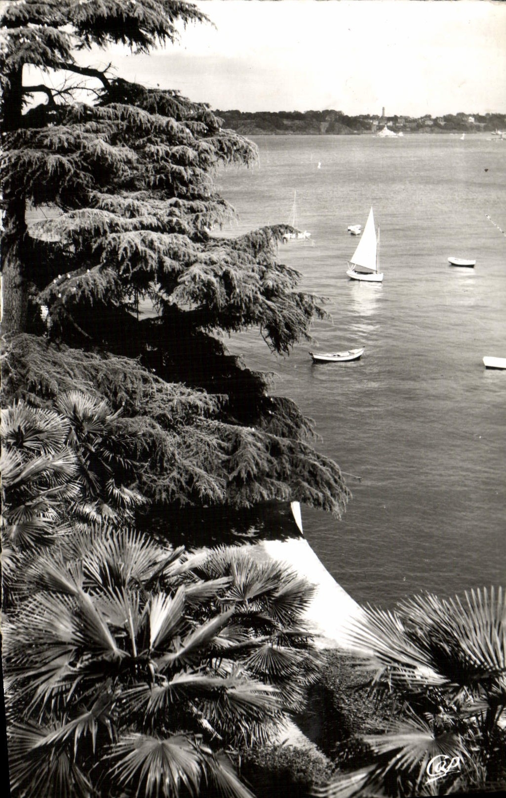 CPM Dinard Cote D'Emeraude La Promenade Du Clair De Lune