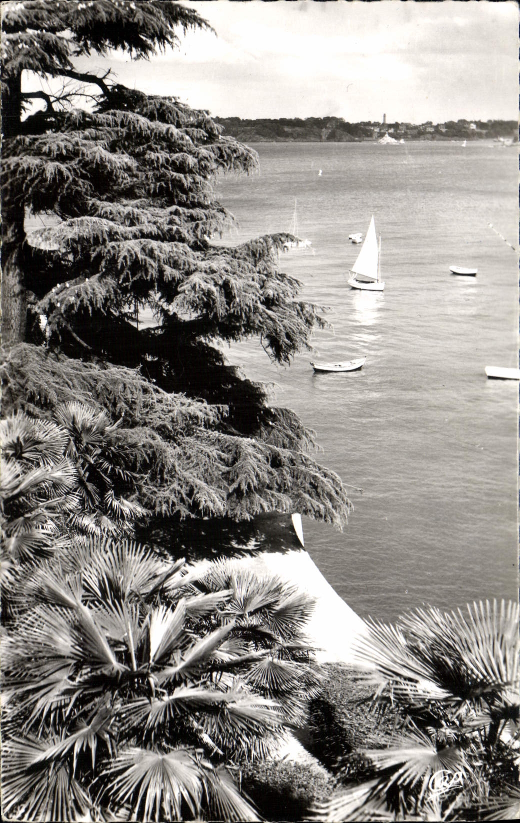 CPM Dinard La Promenade Du Clair De Lune