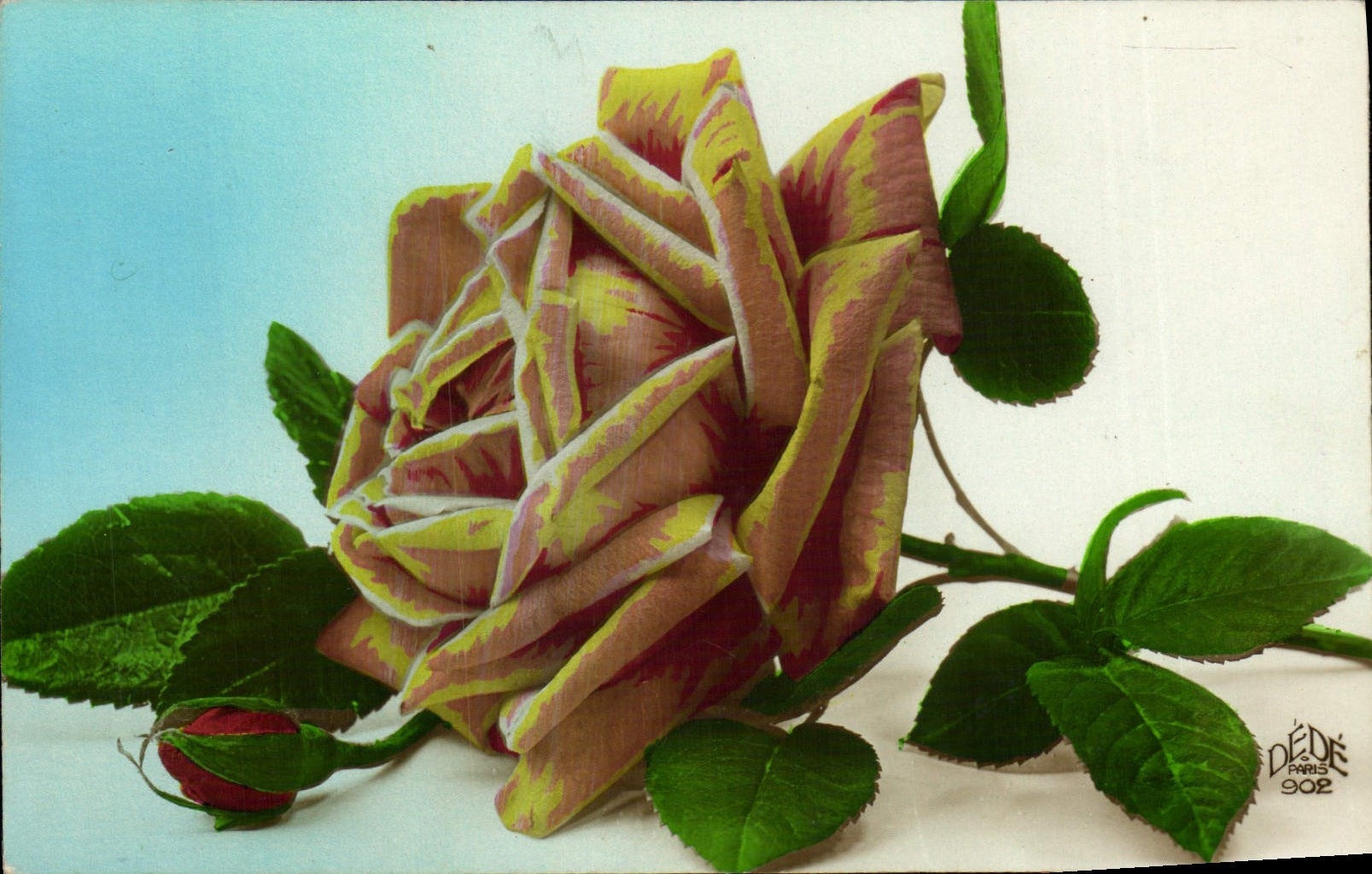 VINTAGE POSTCARD Flowers