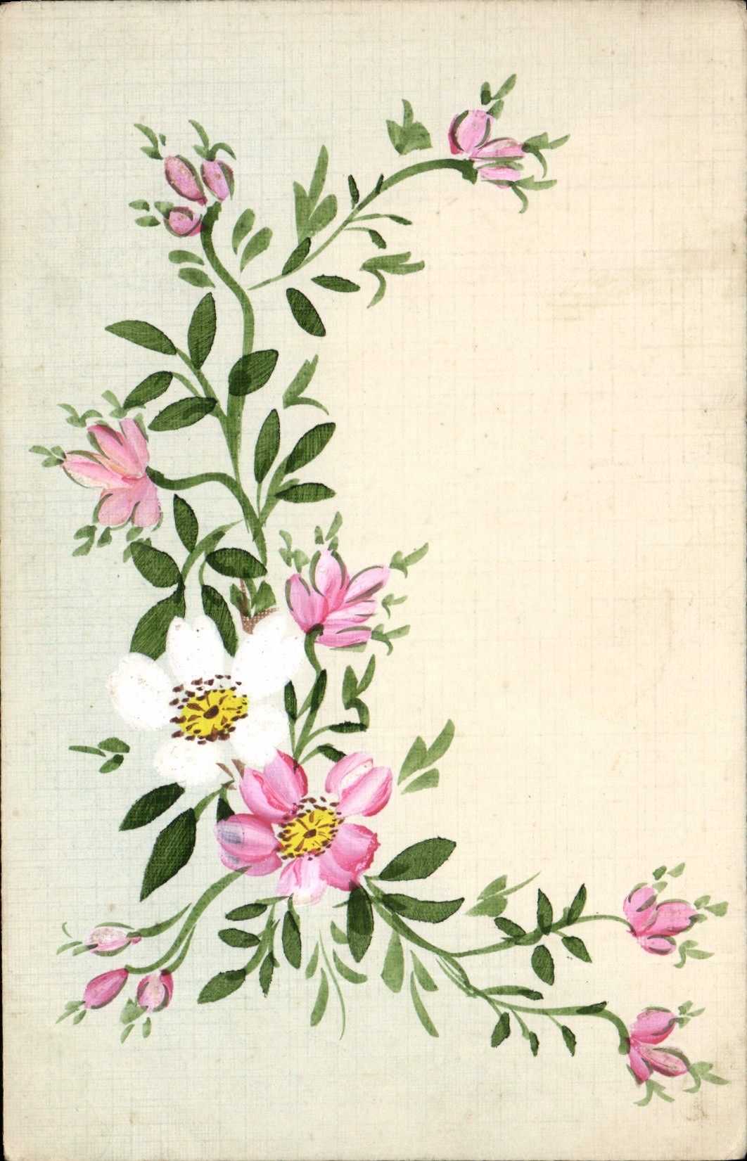 VINTAGE POSTCARD Flowers (drawing with the hand)