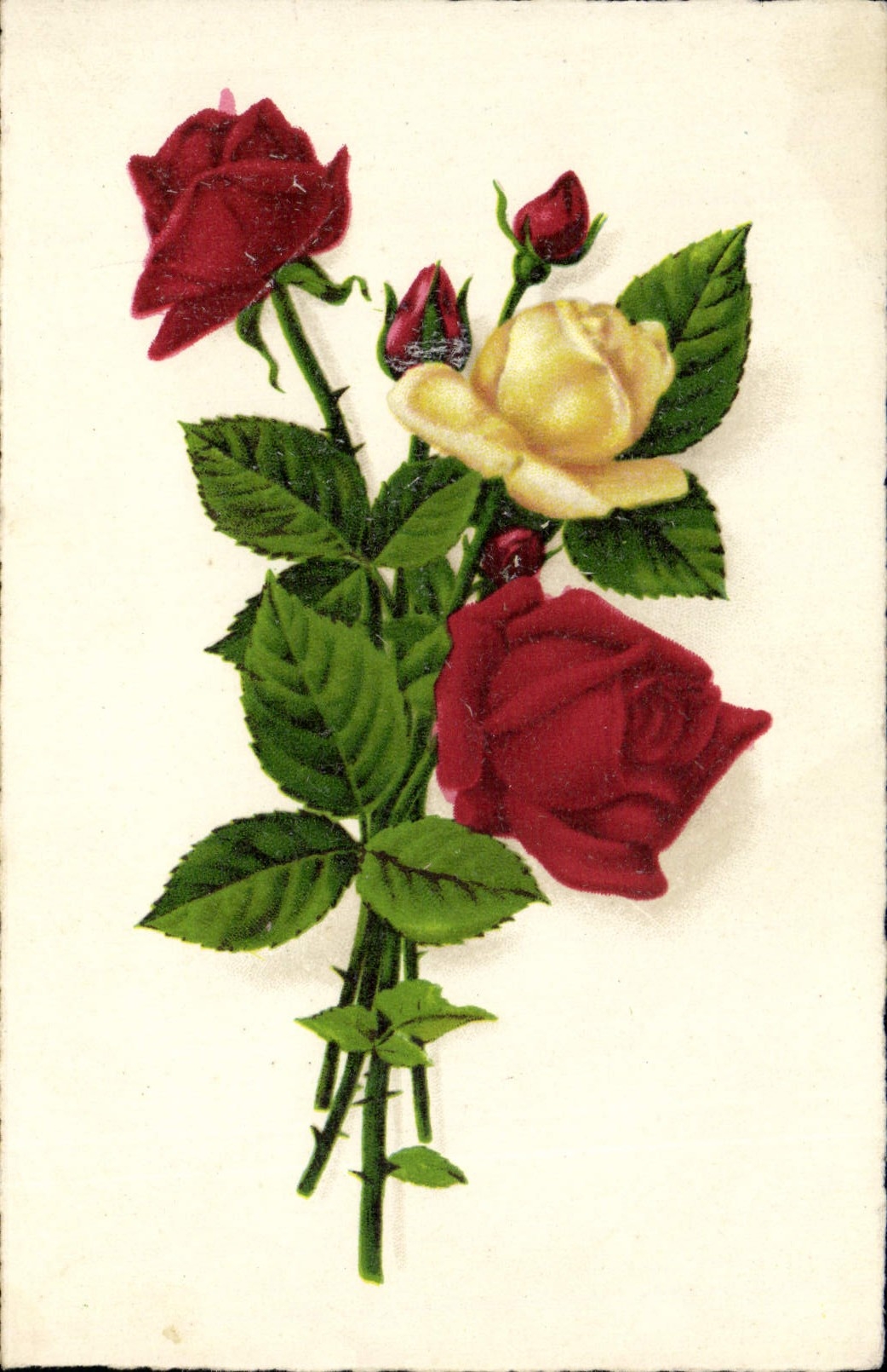 VINTAGE POSTCARD Fantasy Flowers