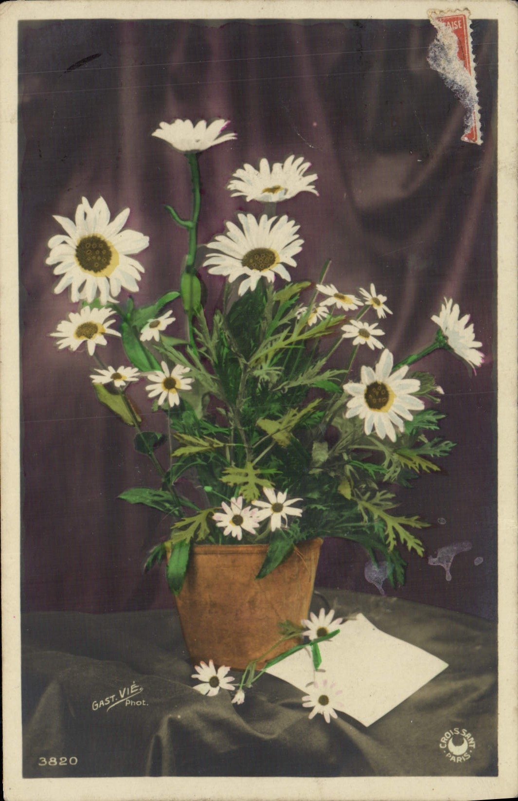 VINTAGE POSTCARD Fantasy Flowers