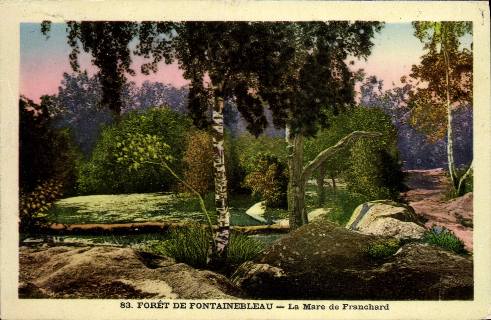 CPA Foret De Fontainebleau La Mare De Franchard