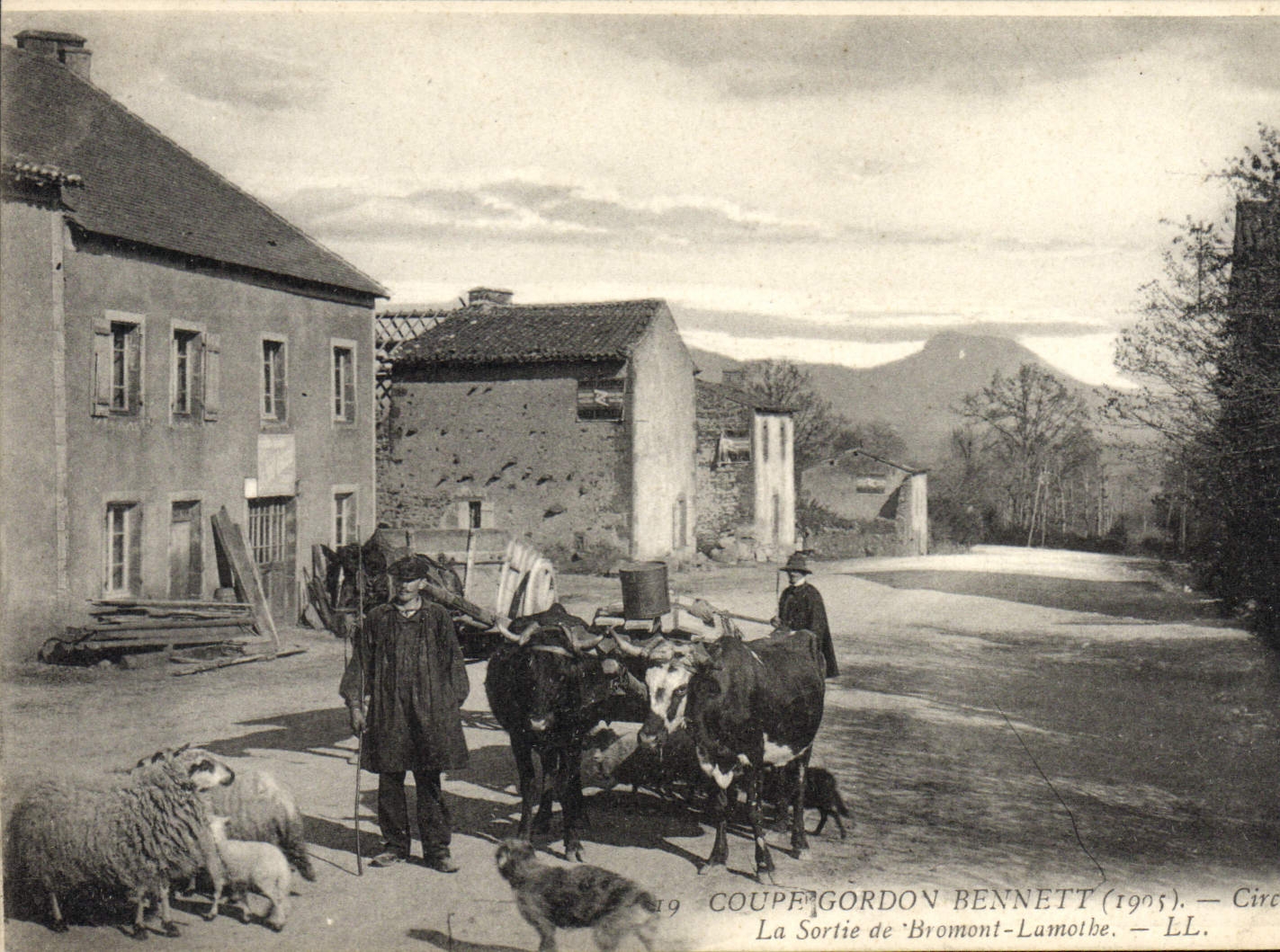VINTAGE POSTCARD Automobile Circuit of Auvergne cuts Gordon Bennett 1905 Circuit Michelin La left Bromont Lamothe Vaches Oxen