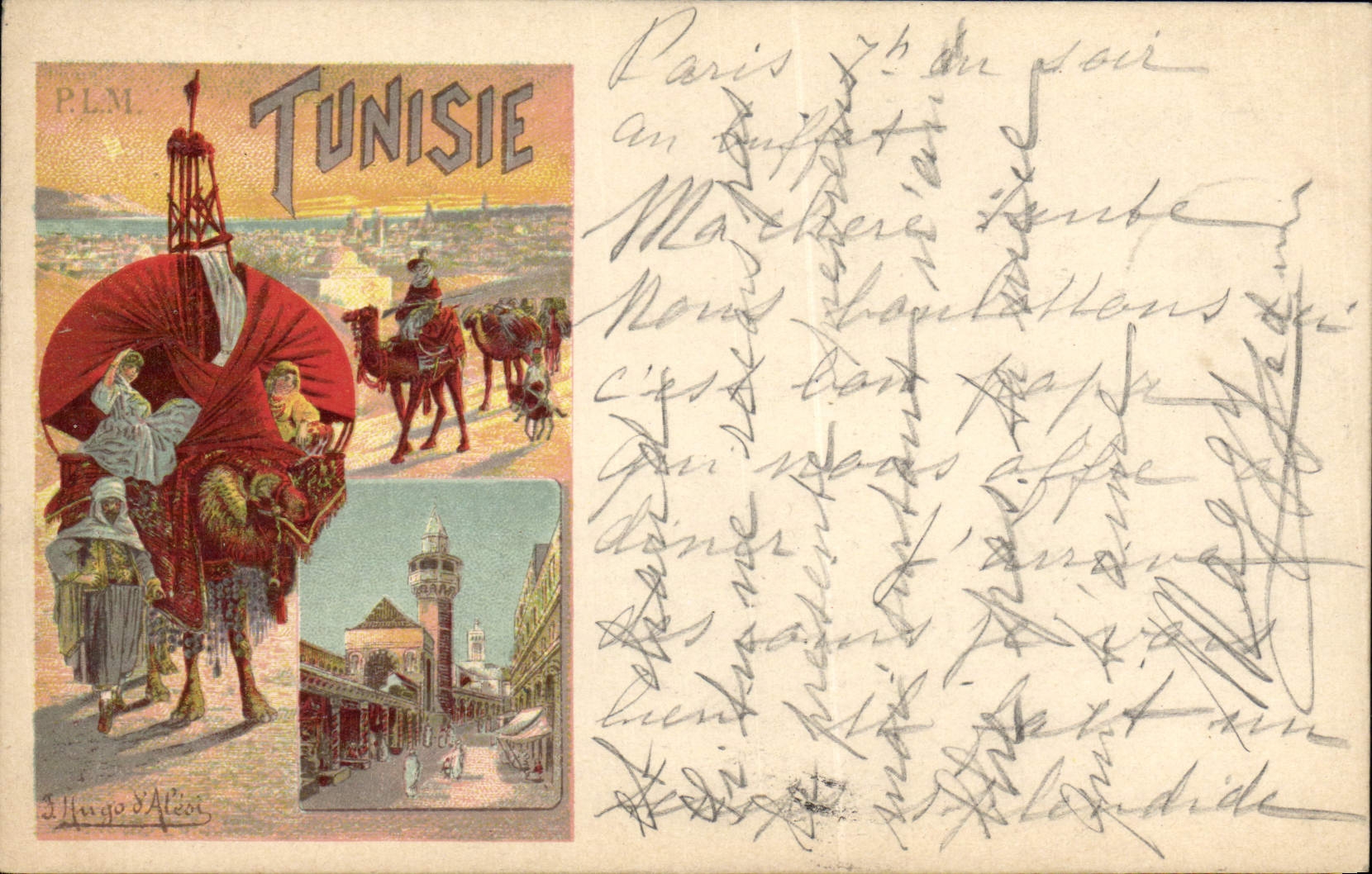 VINTAGE POSTCARD Train PLM Tunisia Camel
