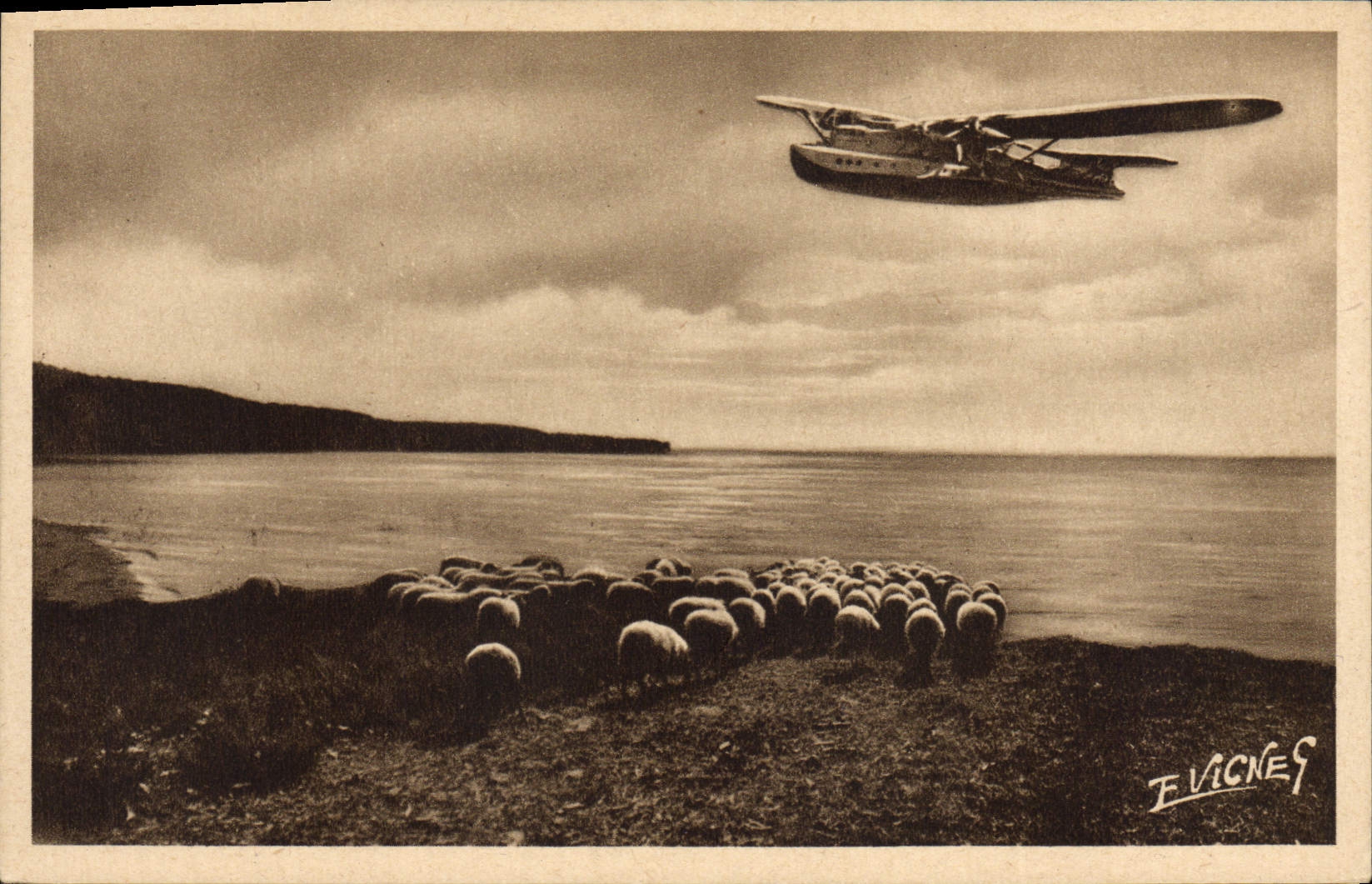 CPA Avion Aviation Paysages landais Au grand lac de Biscarosse Hydravion Moutons