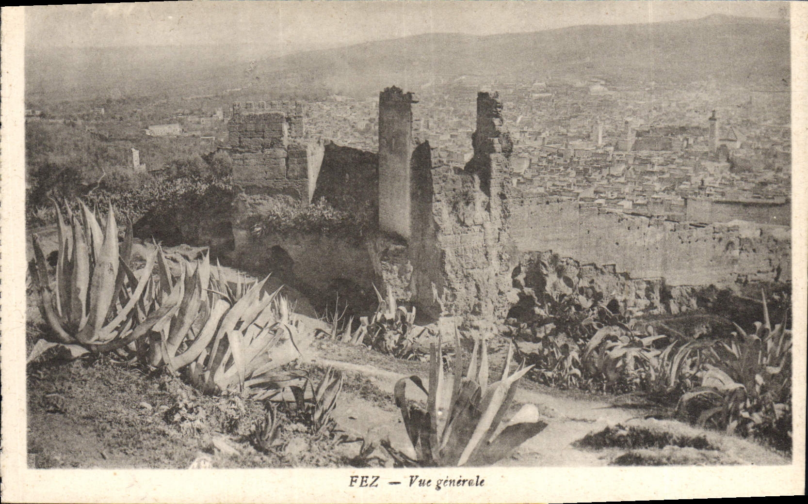 CPA Fez Vue Generale