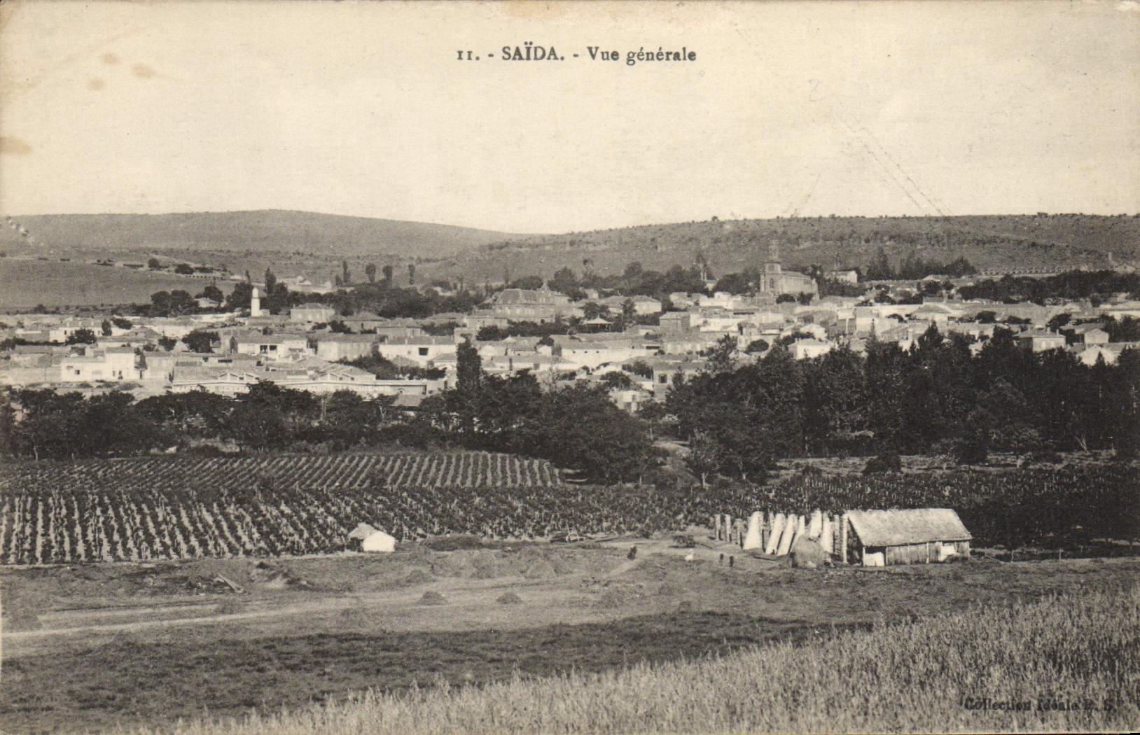 VINTAGE POSTCARD Saida View