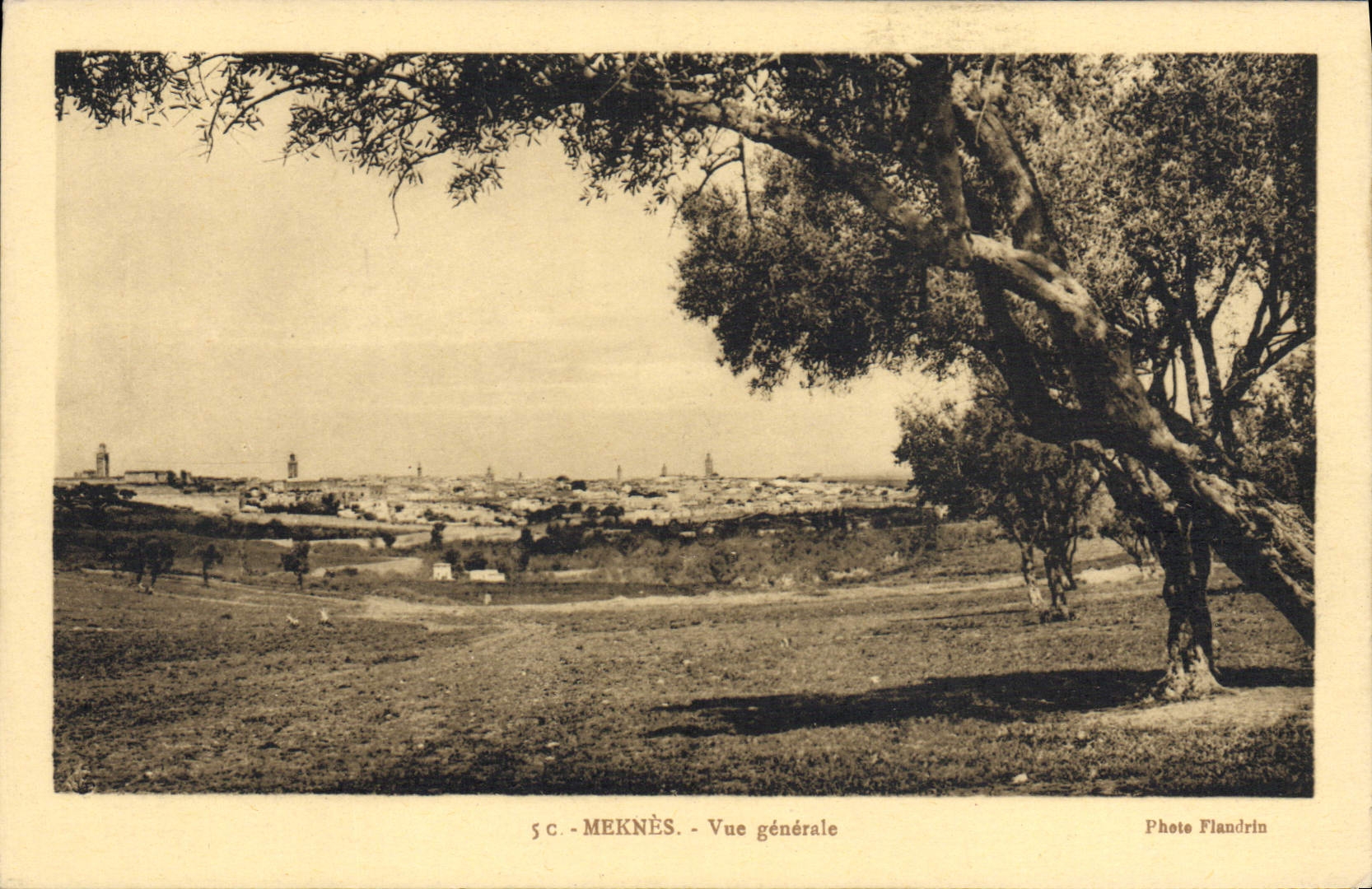 VINTAGE POSTCARD Meknes View