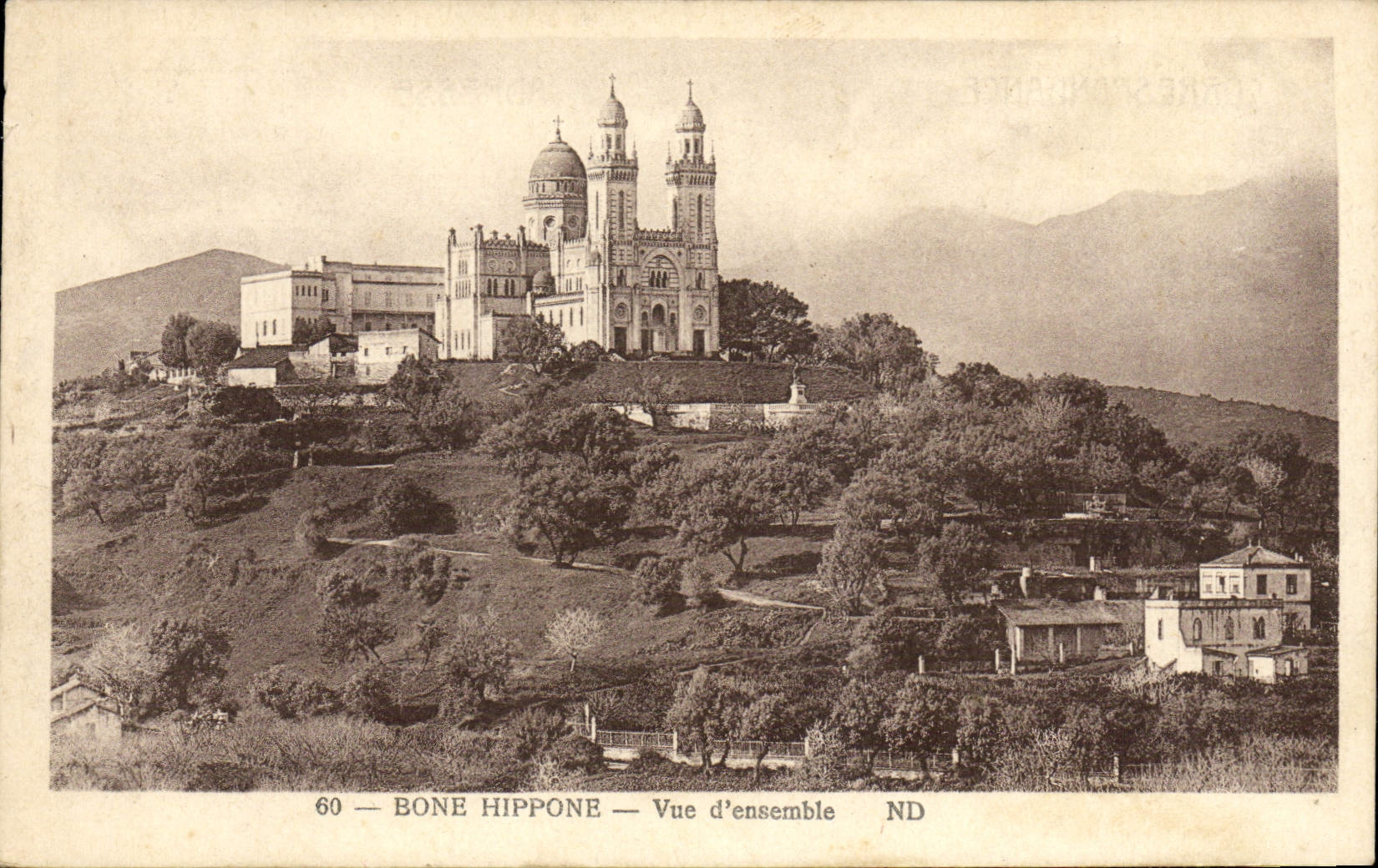 CPA Bone Hippone Vue d'Ensemble