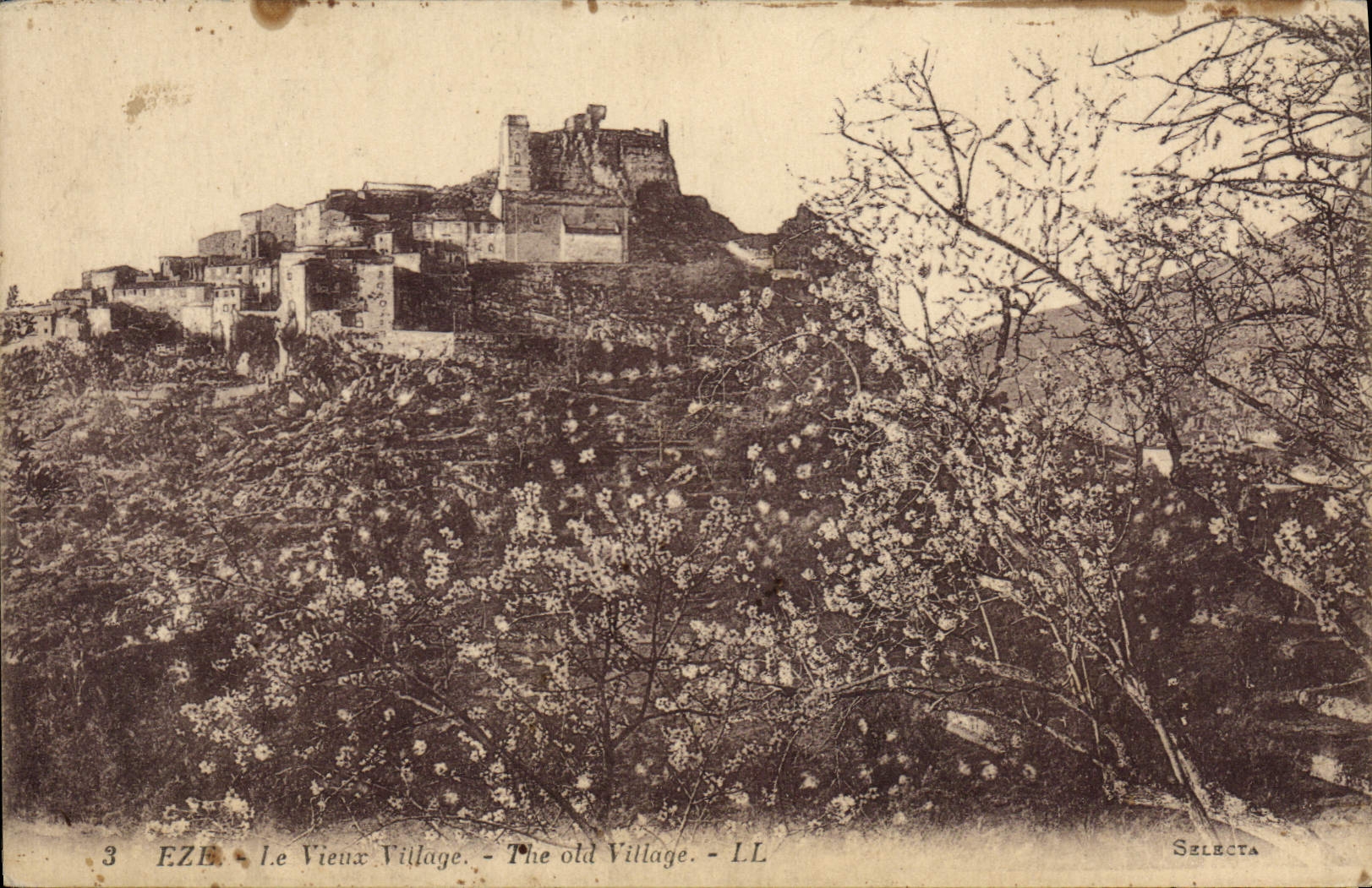 POSTAL Eze de la VENDIMIA el viejo hombre de Vitlage