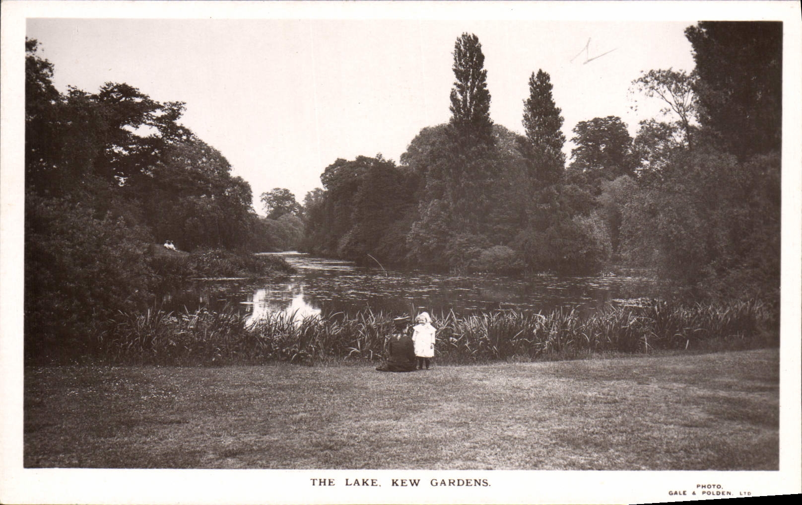 VINTAGE POSTCARD The lake Kew Gardens