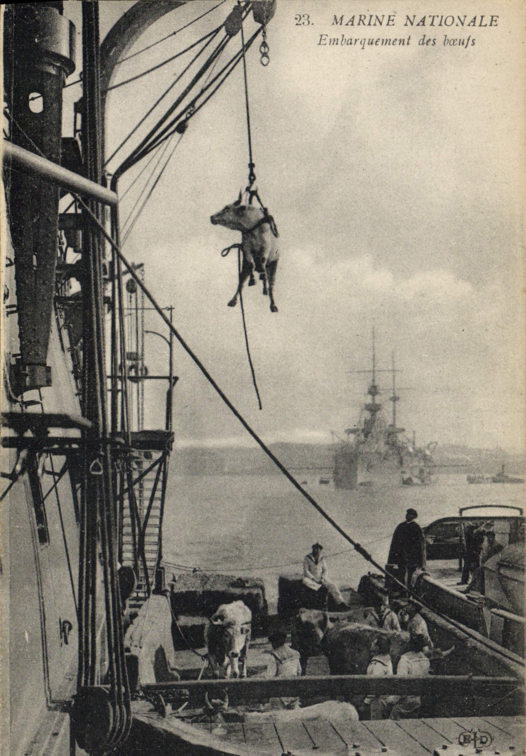 CPA Bateau Embarquement des boeufs