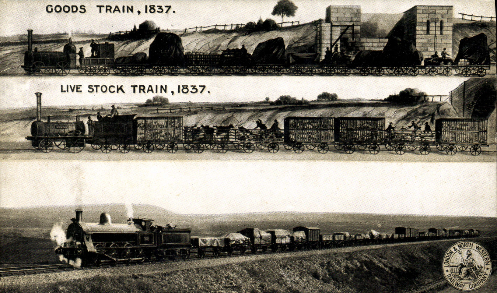 VINTAGE POSTCARD Train Goods Train 1837 Live stock Shap Summit 1904