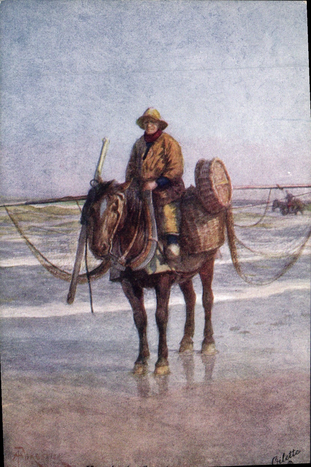CPA Illustrateur A Shrimper on horseback Coxyde Peche