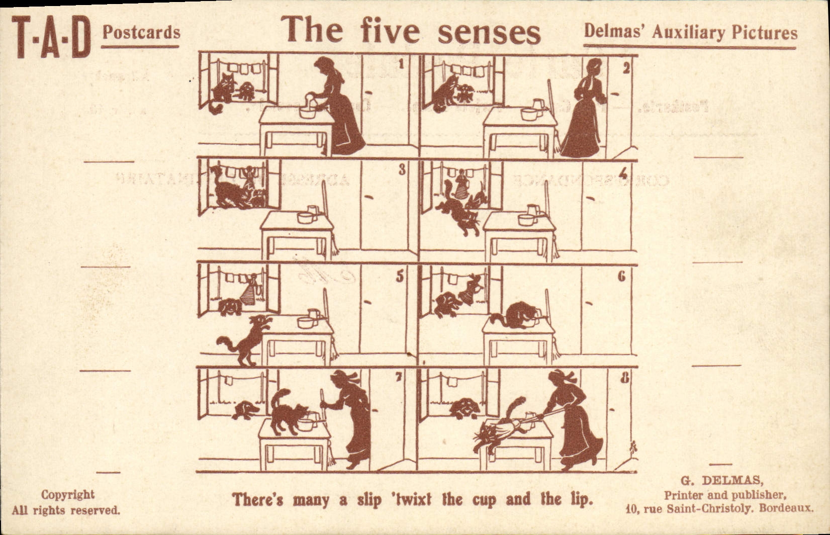 CPA Illustrateur The five senses Chat TAD