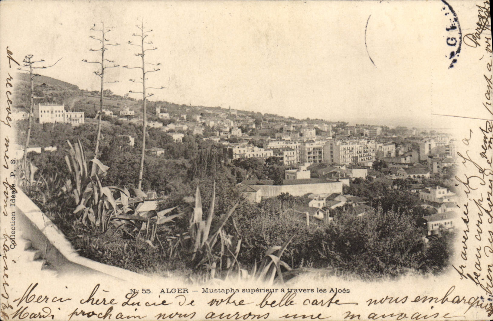 CPA Alger Mustapha Superieur a Travers les Aloes