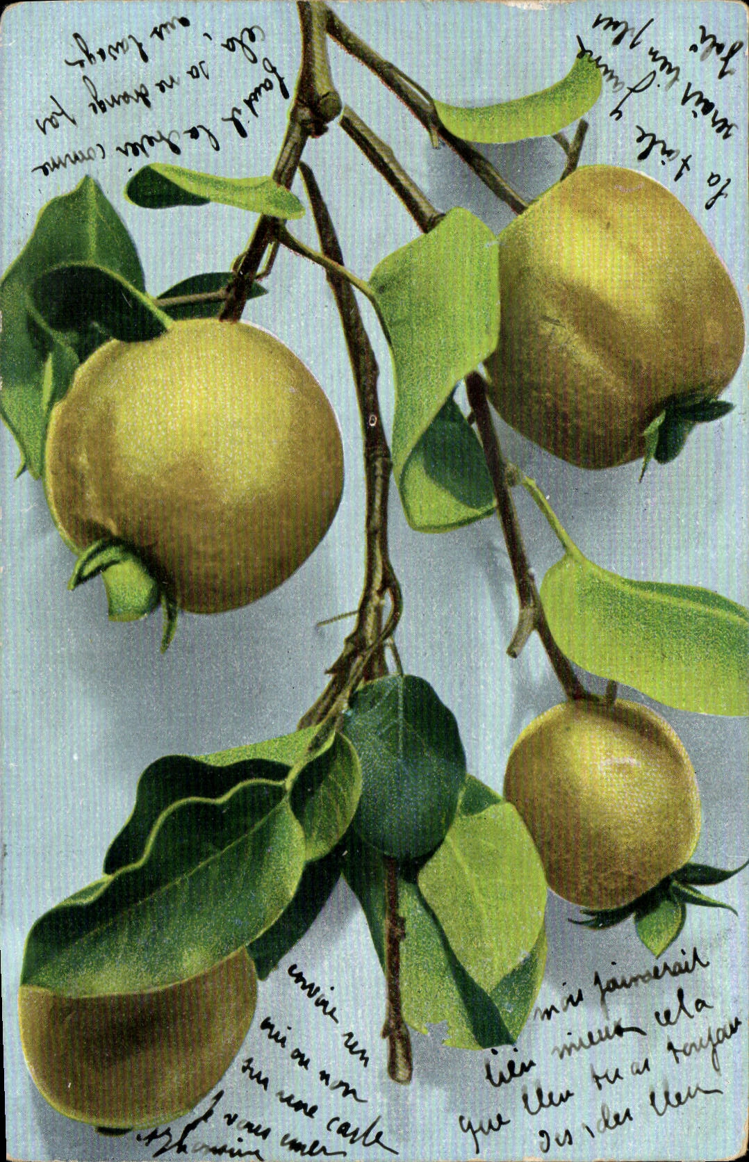 VINTAGE POSTCARD Lemon-yellow Fantasy Lemons