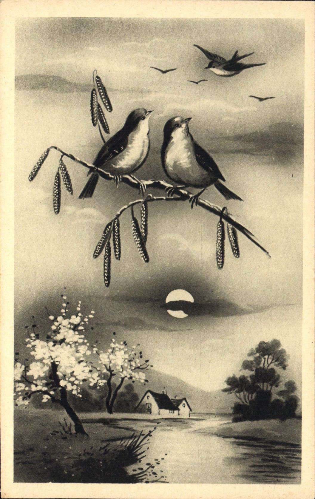 CPA Fantaisie Oiseaux