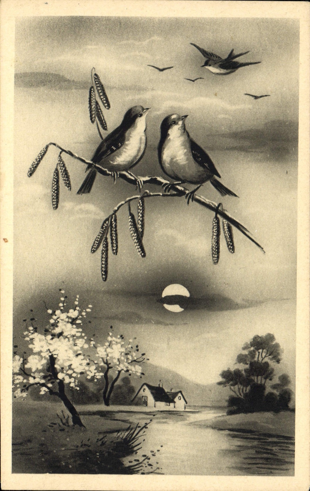 CPA Fantaisie Oiseaux 