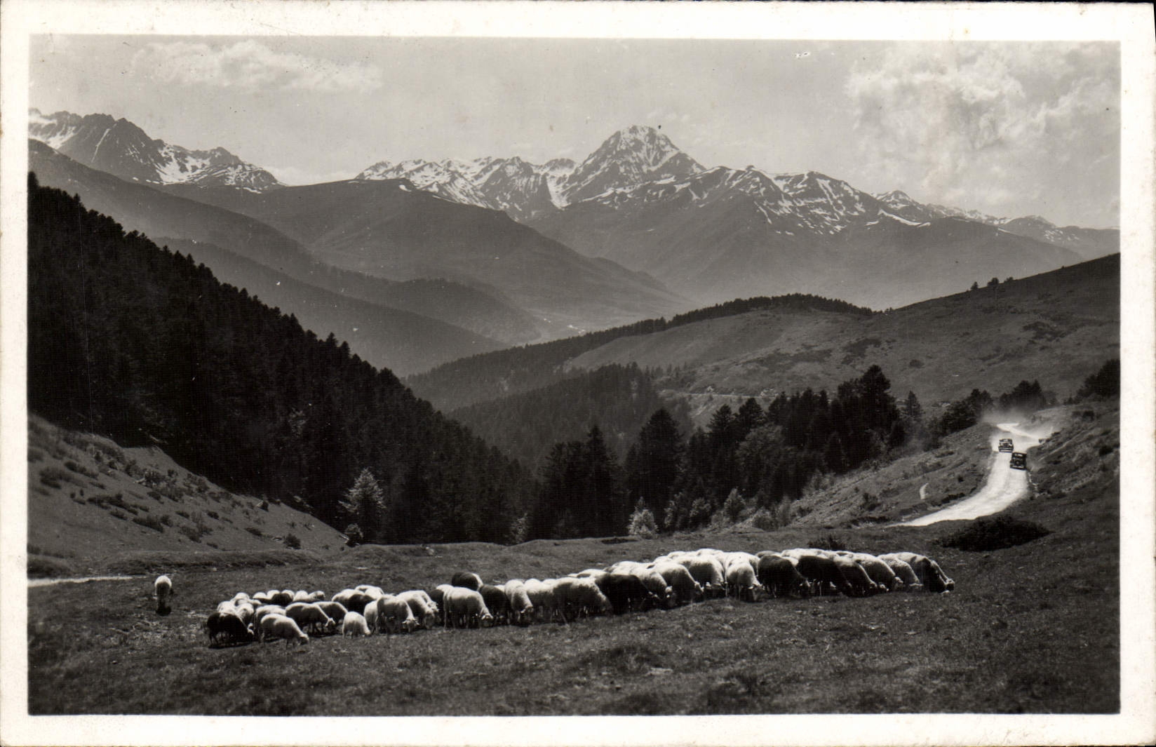CPM Les Pyrenees Au Col d'Aspin Vue vers le pic du Midi Moutons