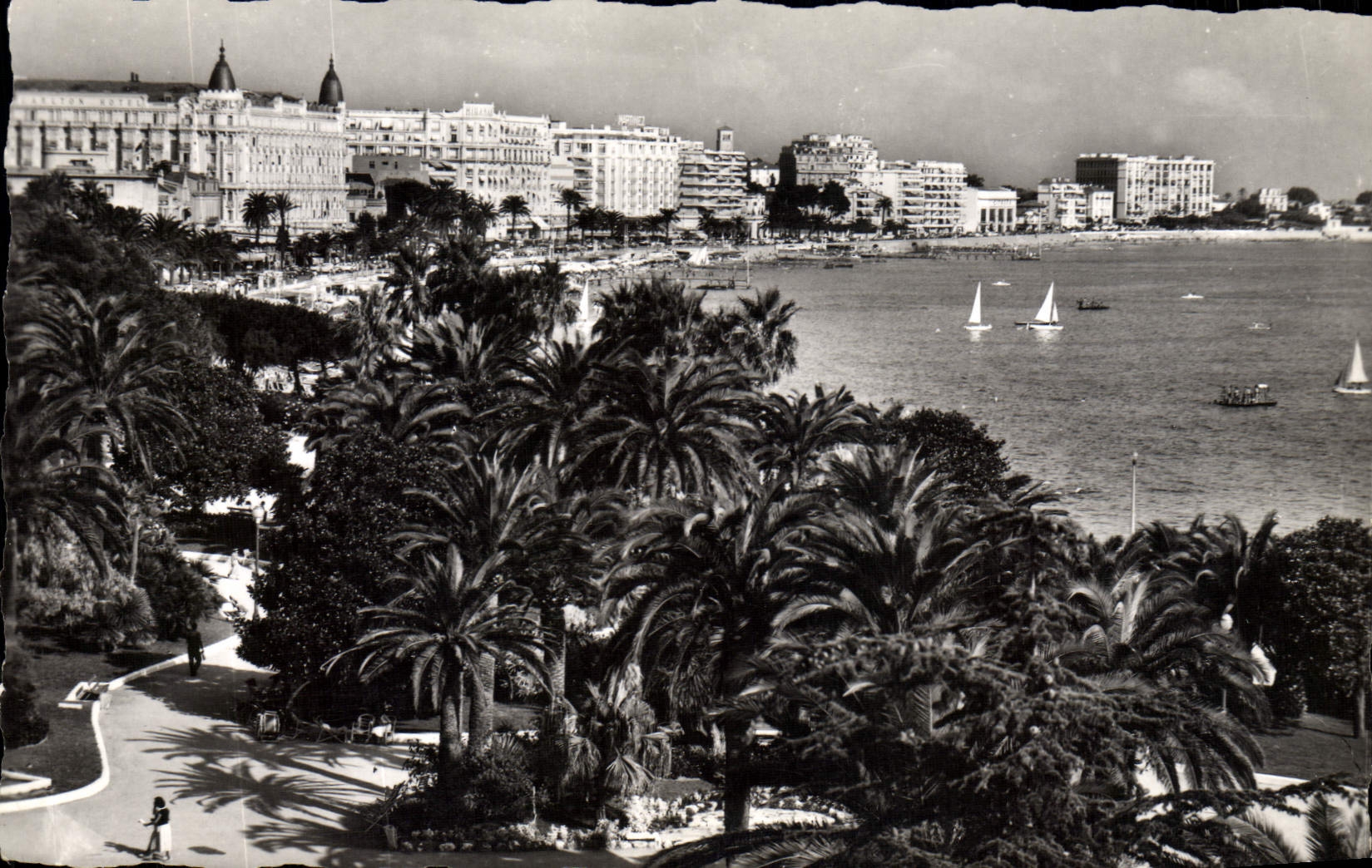 CPM La Cote D Azur Cannes Les Jardins Et Les Hotels
