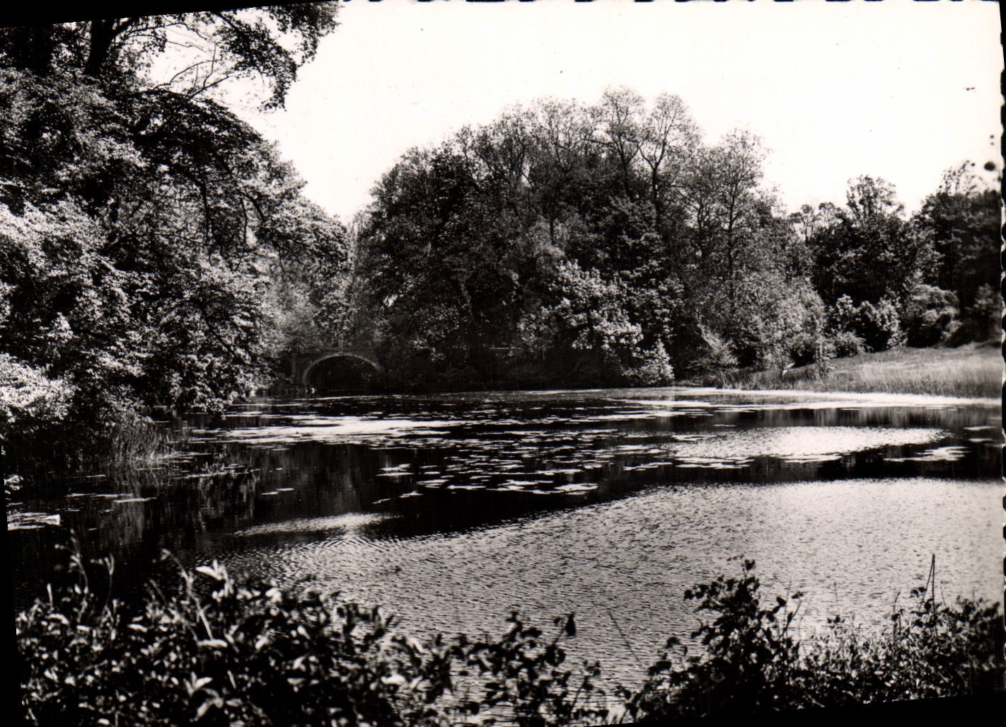 MODERN CARD Villeneuve the Pond