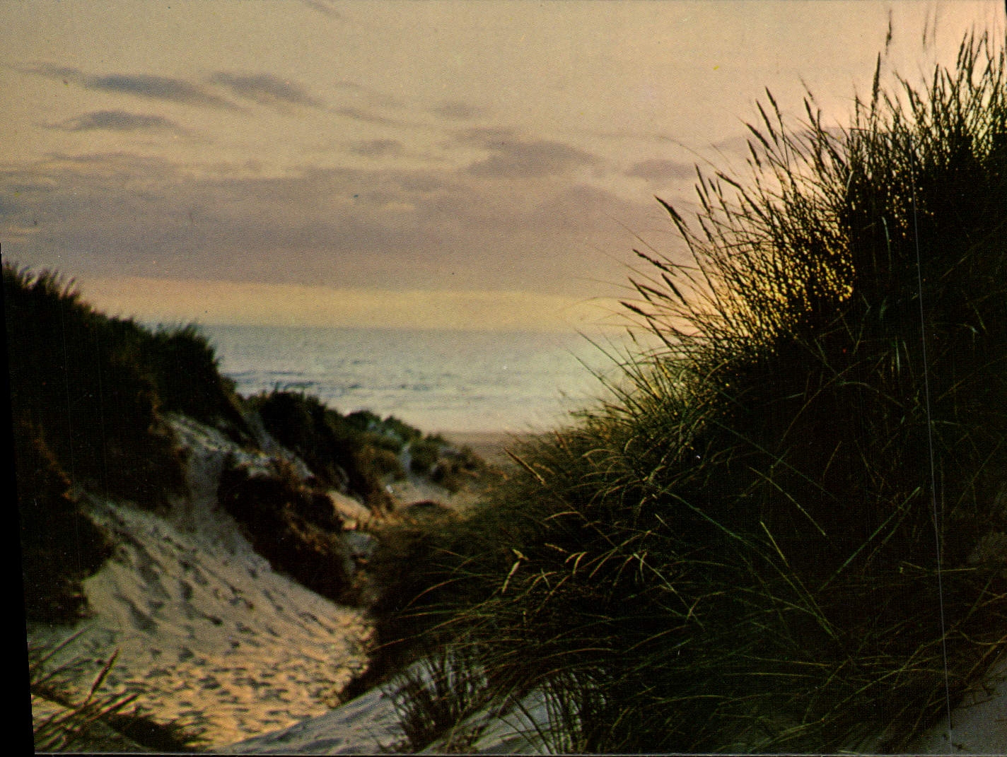 CPM Coucher de soleil sur les dunes de Merlimont