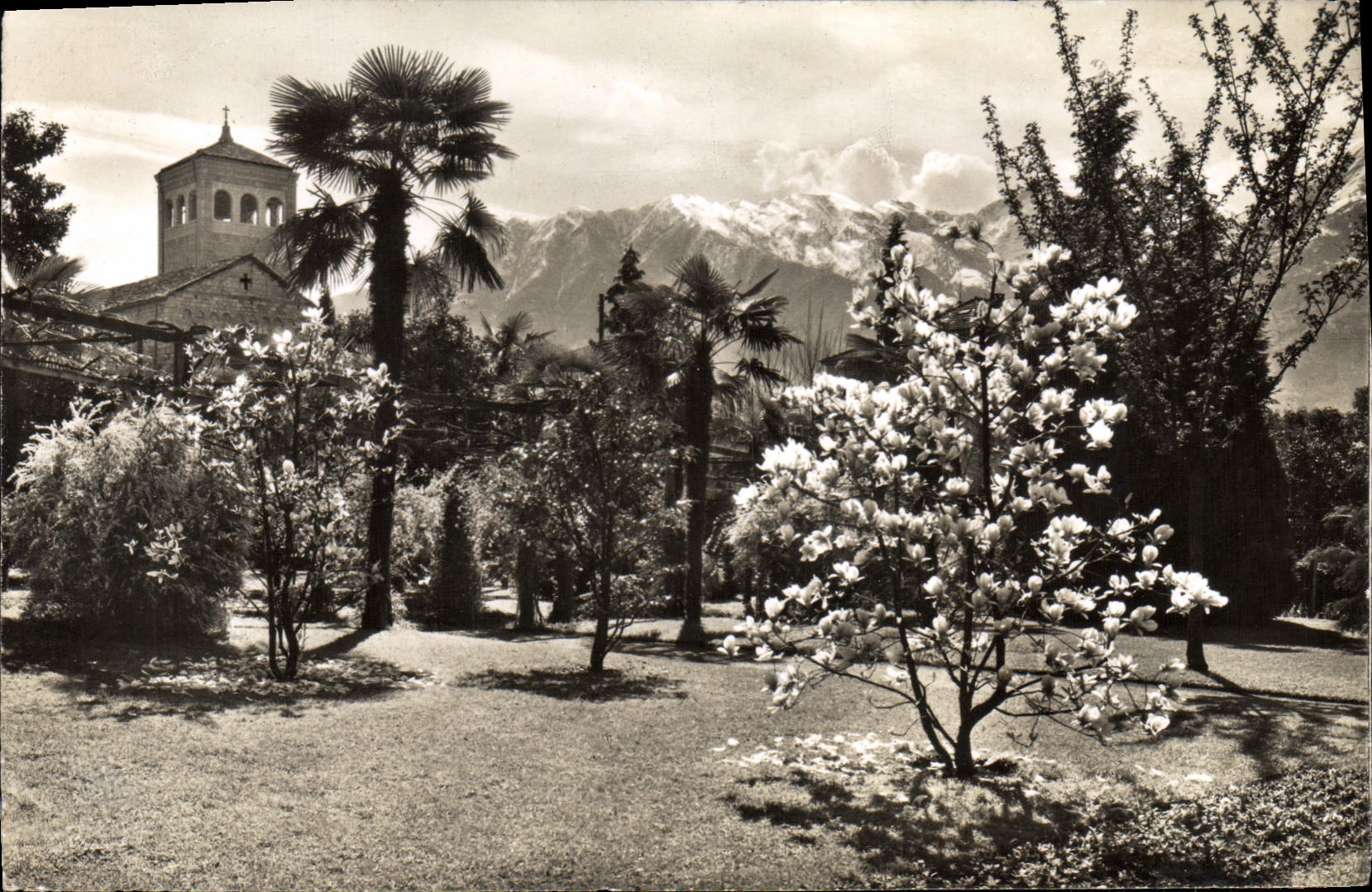 MODERN CARD Locarno Muralto