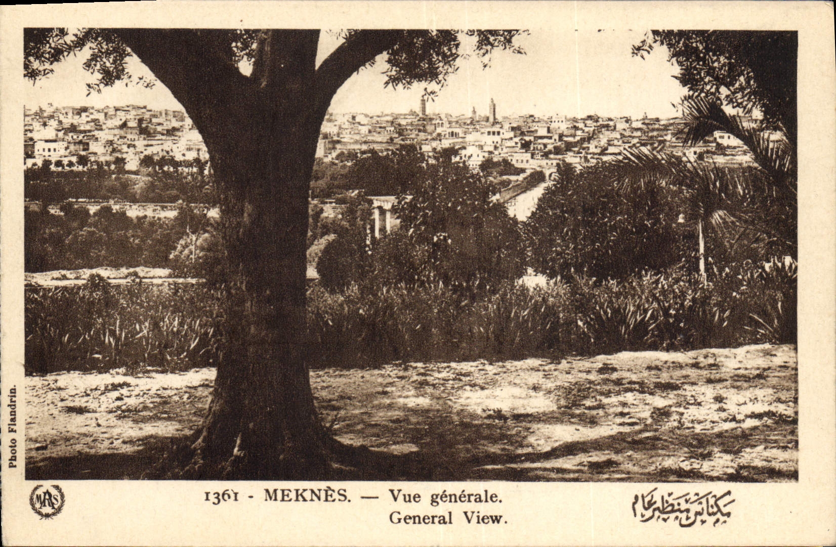 CPA Meknes Vue Generale 