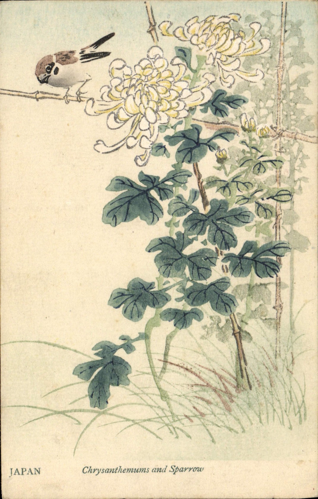 VINTAGE POSTCARD Japanese Japan Chrysanthemums and Sparrow Bird Flowers