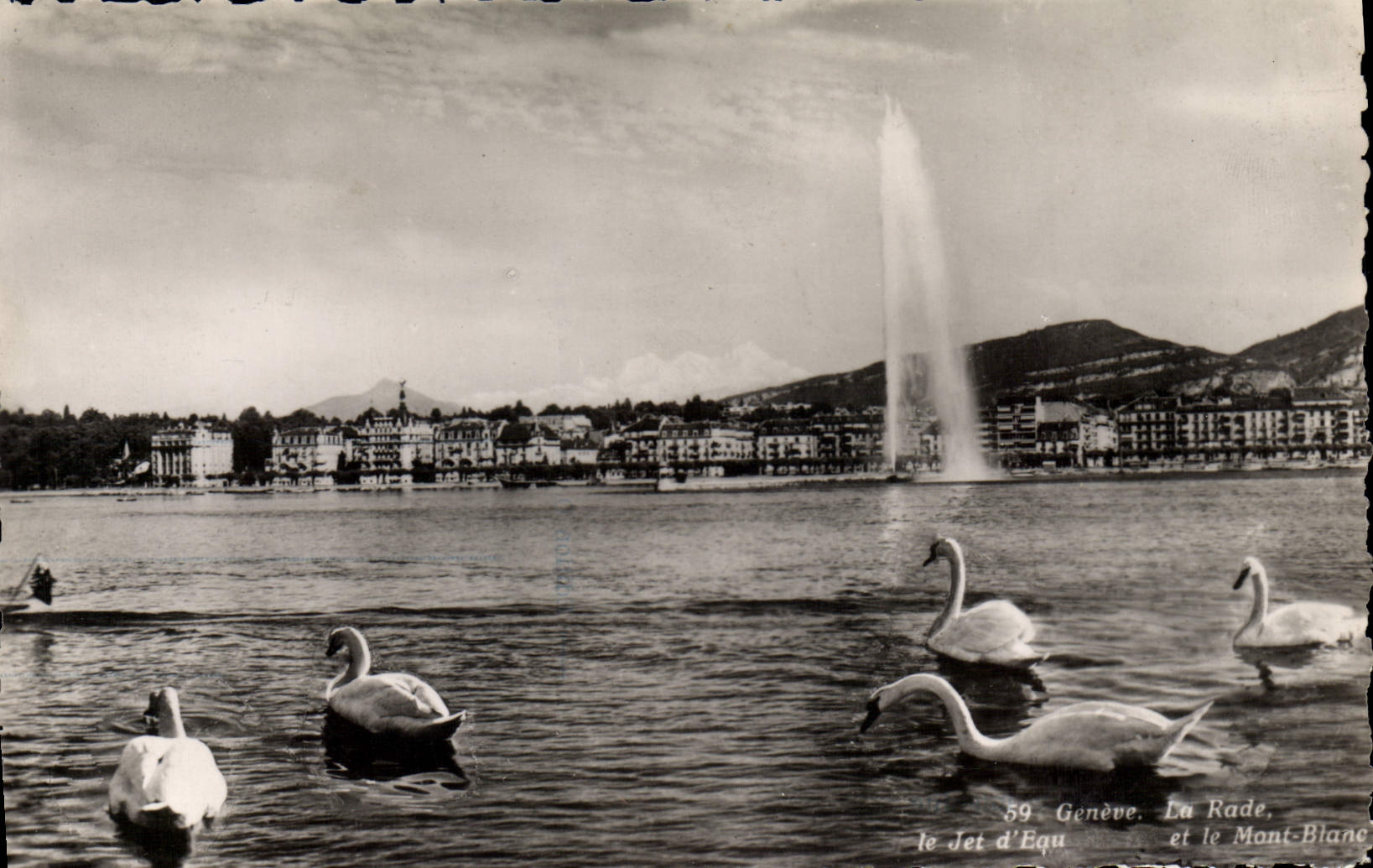 MODERN CARD Geneva roads the water jet and the Mount Blanc Swans