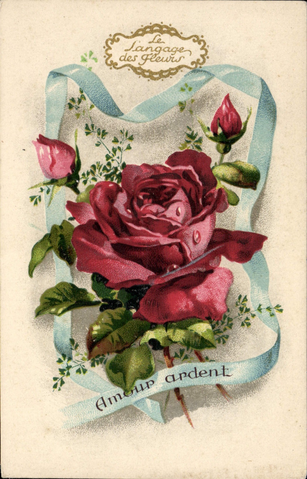 VINTAGE POSTCARD Rose Fantasy